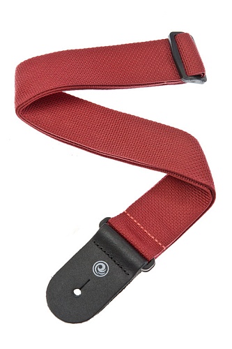 Planet Waves PWS101   