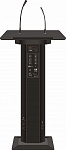 :SVS Audiotechnik LR-100 Black        100